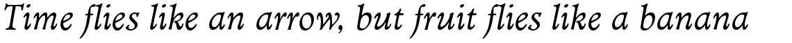 EF Minister Book Italic