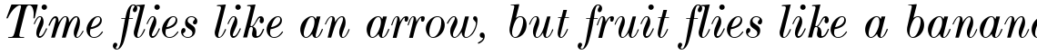 EF Modern Extended Book Italic