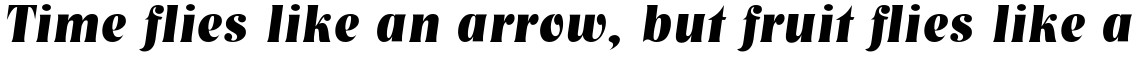 Nashville Bold Italic