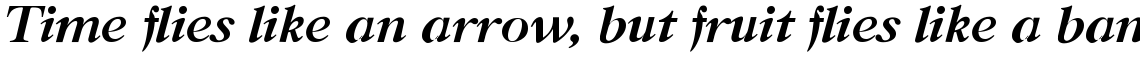 New Caslon B Bold Italic