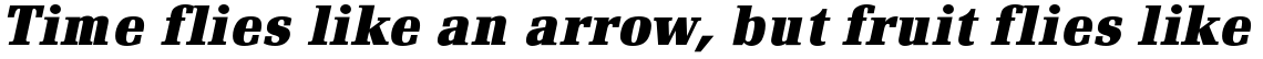 Renault Bold Italic