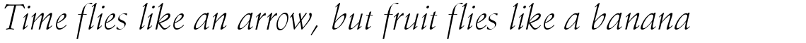 Schneidler Light Italic