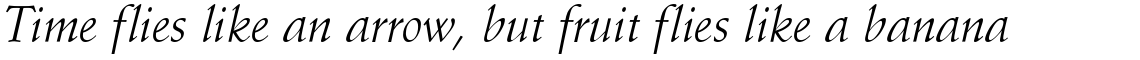 Schneidler Roman Italic