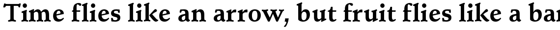 Schneidler Bold