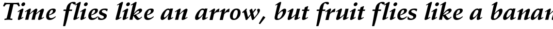 Schneidler Bold Italic