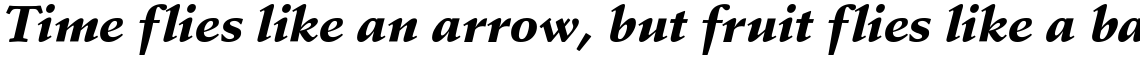 Schneidler Black Italic