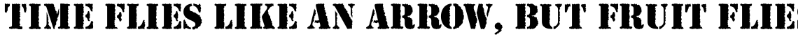 Stencil Antiqua Regular Rough