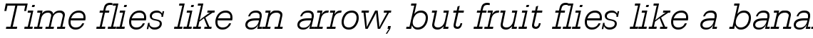 Serifa B Light Italic