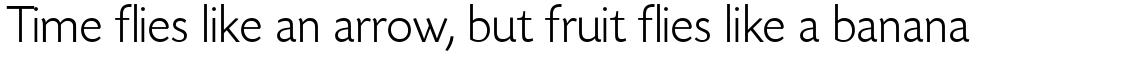 Today Sans Serif H Light
