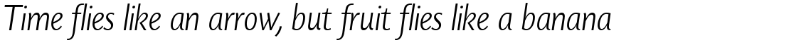 Today Sans Serif H Light Italic