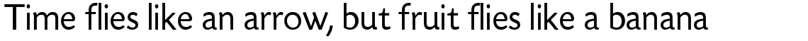 Today Sans Serif H Regular