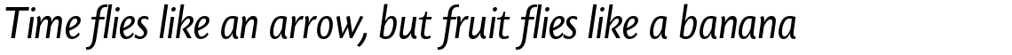 Today Sans Serif H Regular Italic