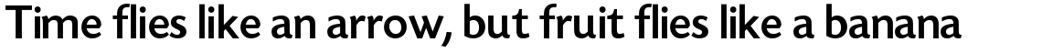 Today Sans Serif H Medium