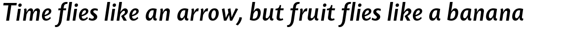 Today Sans Serif H Medium Italic