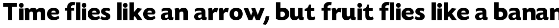 Today Sans Serif H Bold