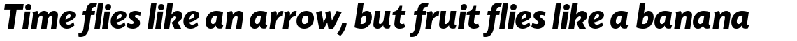 Today Sans Serif H Bold Italic