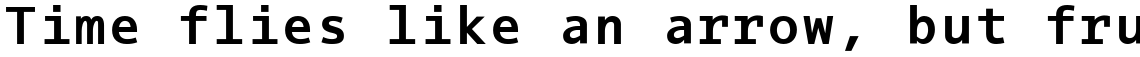 EF Thordis Sans Mono Bold