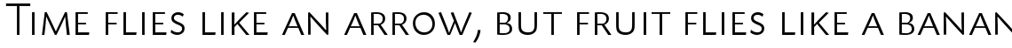 Today Sans Serif B Light Small Caps