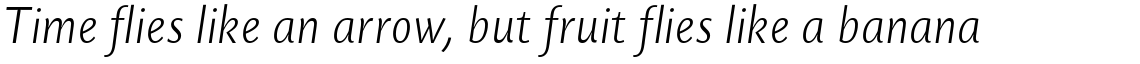 Today Sans Serif B Light Italic
