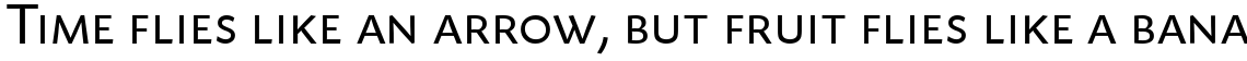 Today Sans Serif B Regular Small Caps