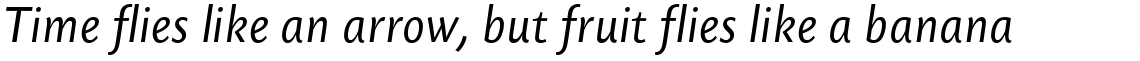 Today Sans Serif B Regular Italic