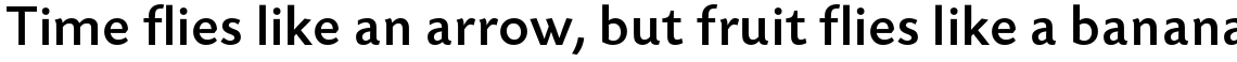 Today Sans Serif B Medium