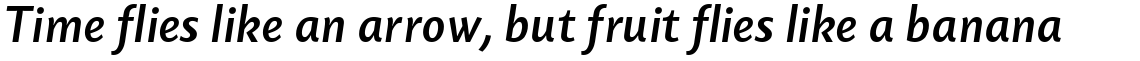 Today Sans Serif B Medium Italic