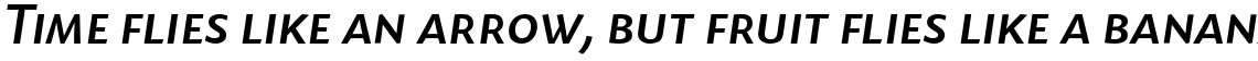 Today Sans Serif B Medium Italic Small Caps