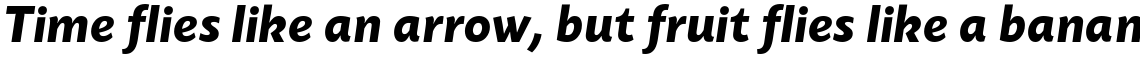 Today Sans Serif B Bold Italic
