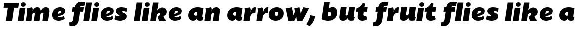 Today Sans Serif B Ultra Italic