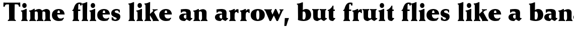 Weiss Antiqua Extra Bold