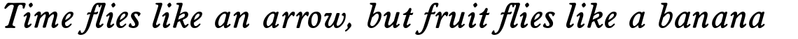 Worchester Medium Italic