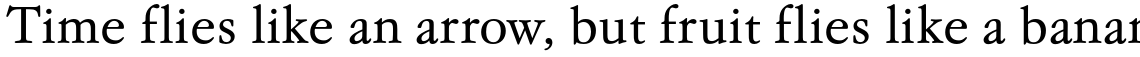 EF Garamond No. 5 T Light