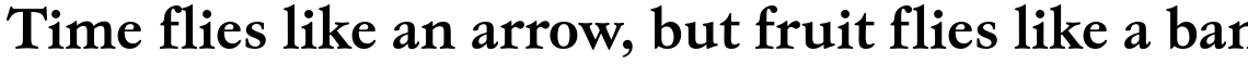 EF Garamond No. 5 T Bold