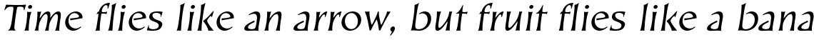 EF Kiev T Regular Oblique