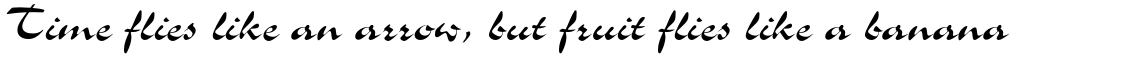 EF Slogan T Regular