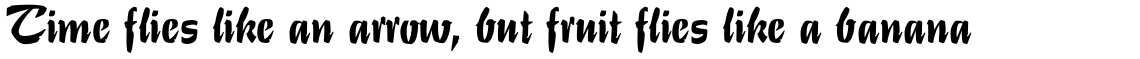 EF Stentor T Regular
