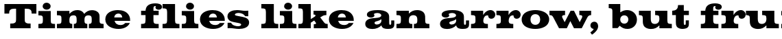 Volta T Bold