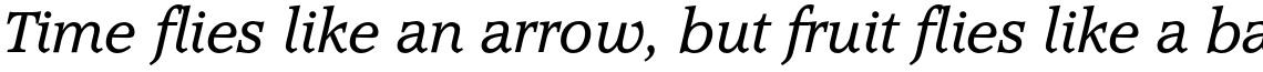 Accolade CE Light Italic