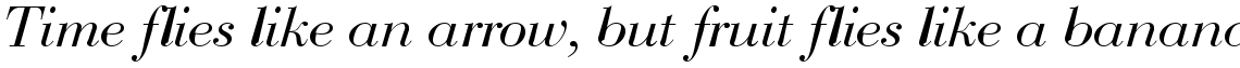 Bauer Bodoni CE Regular Italic