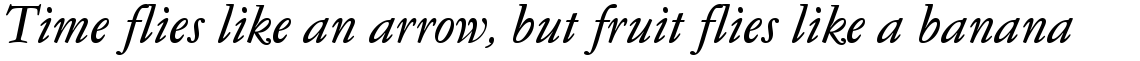 EF Garamond No. 5 CE Light Italic