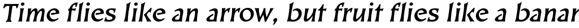 EF Kiev CE Bold Oblique