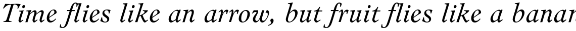 Leamington CE Light Italic