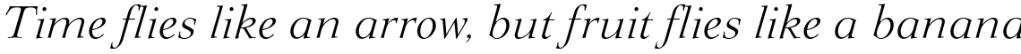 Lingwood CE Light Italic