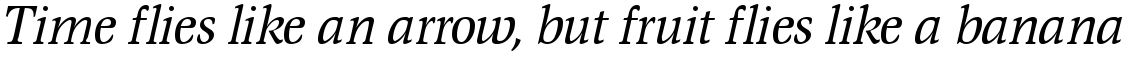 EF Magna CE Italic