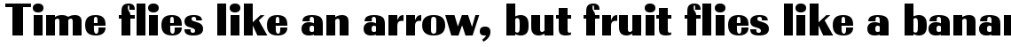 EF Radiant Display CE Condensed No. 1