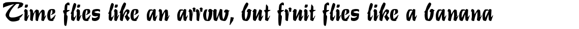EF Stentor CE Regular
