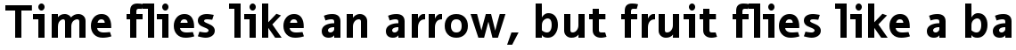 EF Thordis Sans CE Bold