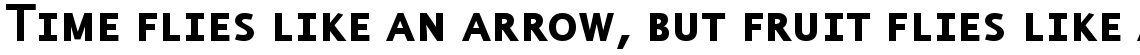 EF Thordis Sans CE Bold Small Caps