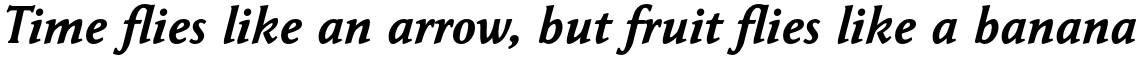 Garaline Bold Italic